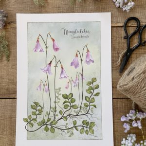 Poster / Kunstdruck "Moosglöckchen" - DIN A4