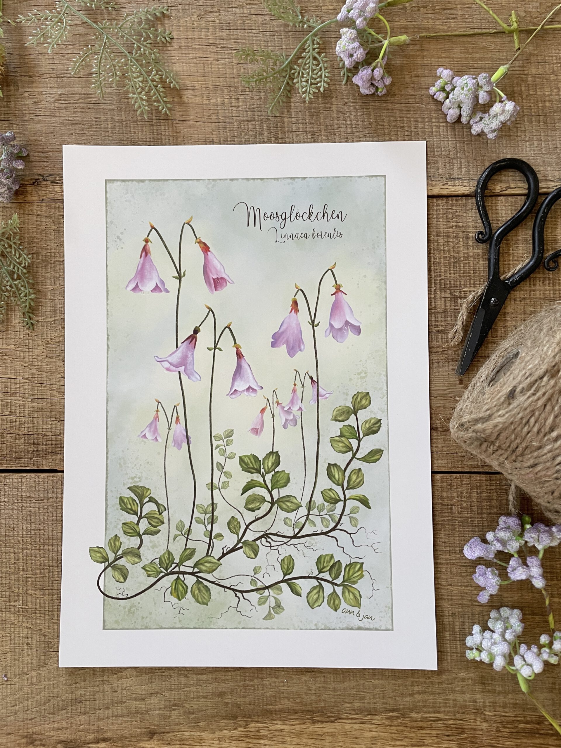 Poster / Kunstdruck "Moosglöckchen" - DIN A4