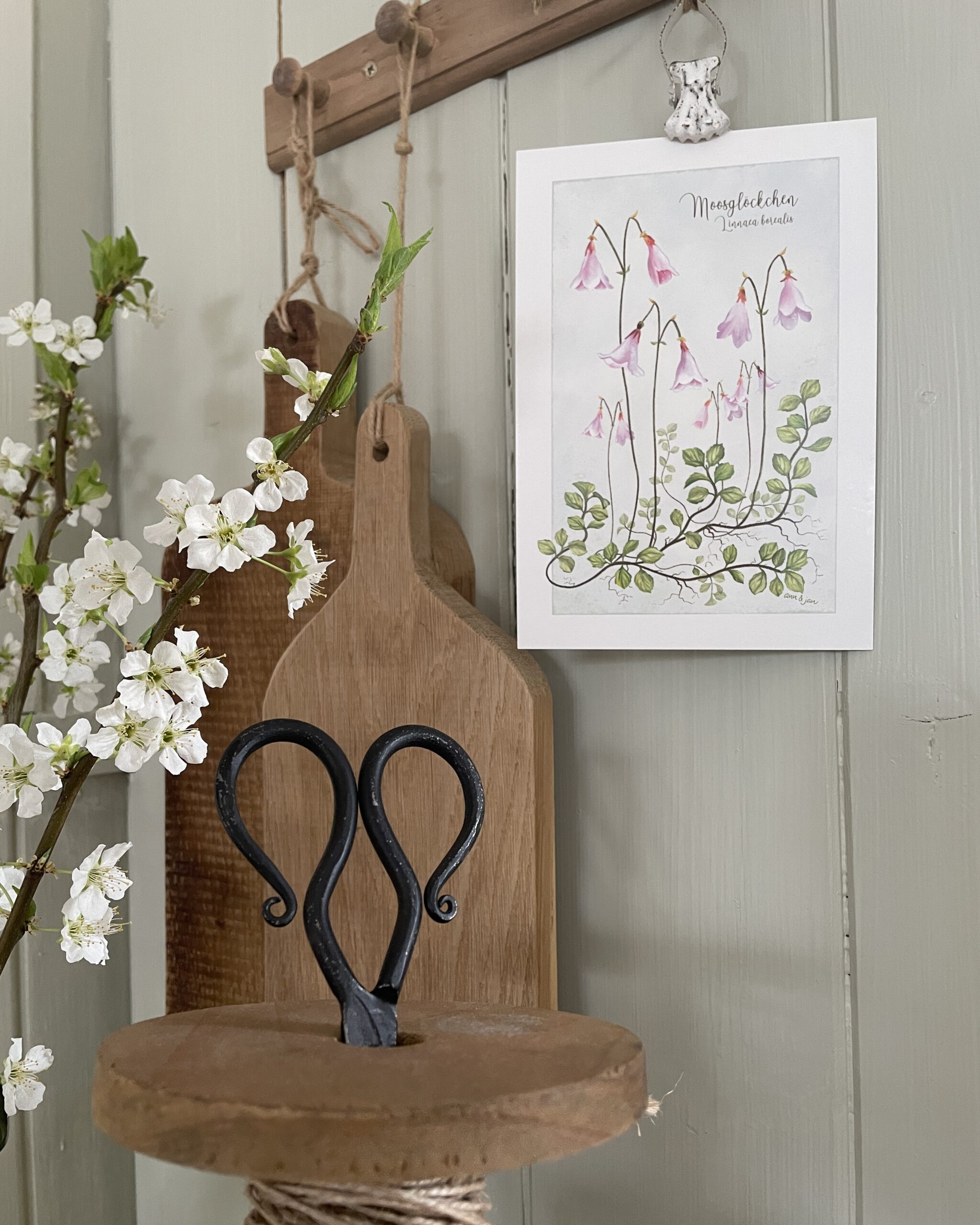 Große Postkarte "Moosglöckchen" – Bild 3