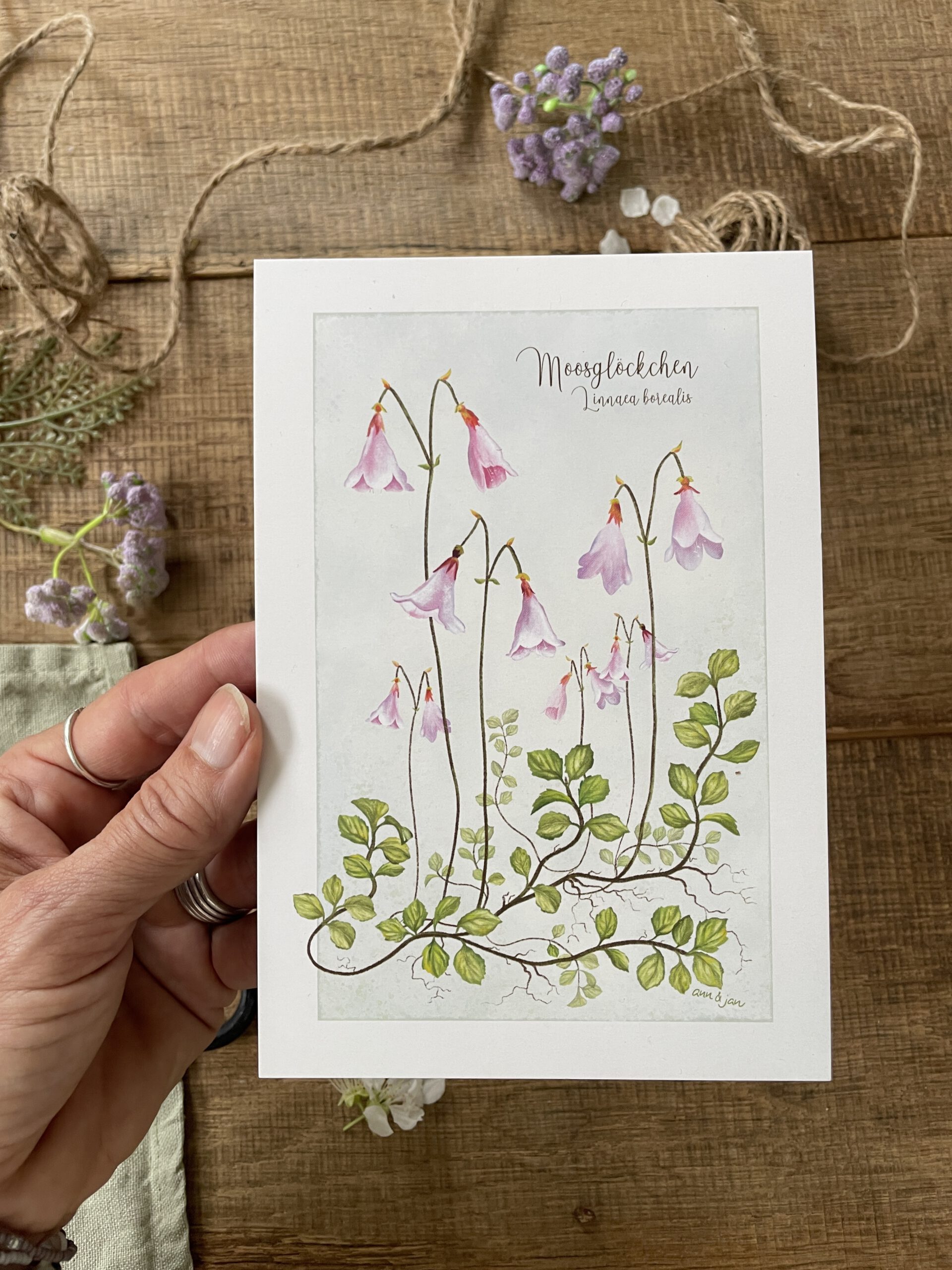 Große Postkarte "Moosglöckchen" – Bild 2